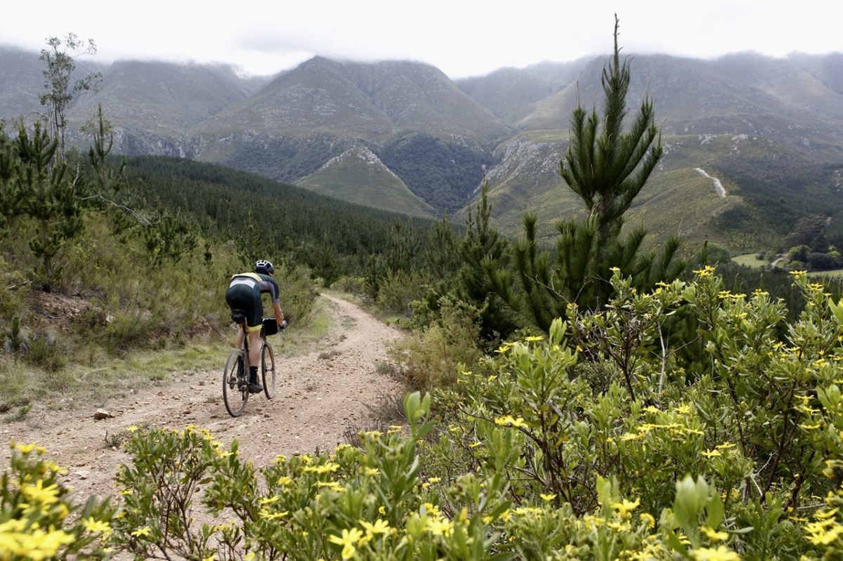 Stage 2: Swellendam to Swellendam (57km/1150m)