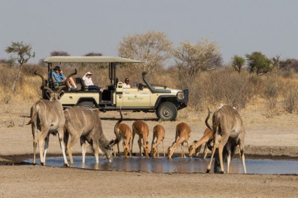 Hotchillee Cape Rouleur - safari add on with Bonamy Travel